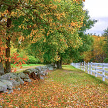 Bolton Orchards in the fall in Massachusetts