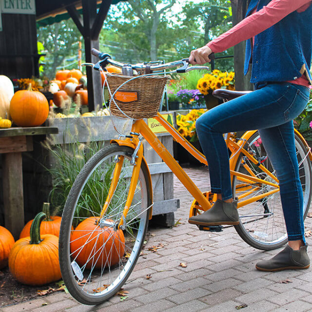 Morning Glory Farm in Edgartown, Massachusetts