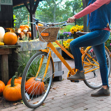 Morning Glory Farm in Edgartown, Massachusetts