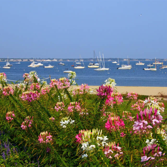 Waterfront view from downtown Hyannis, Massachusetts