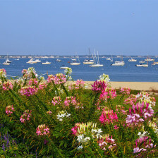 Waterfront view from downtown Hyannis, Massachusetts